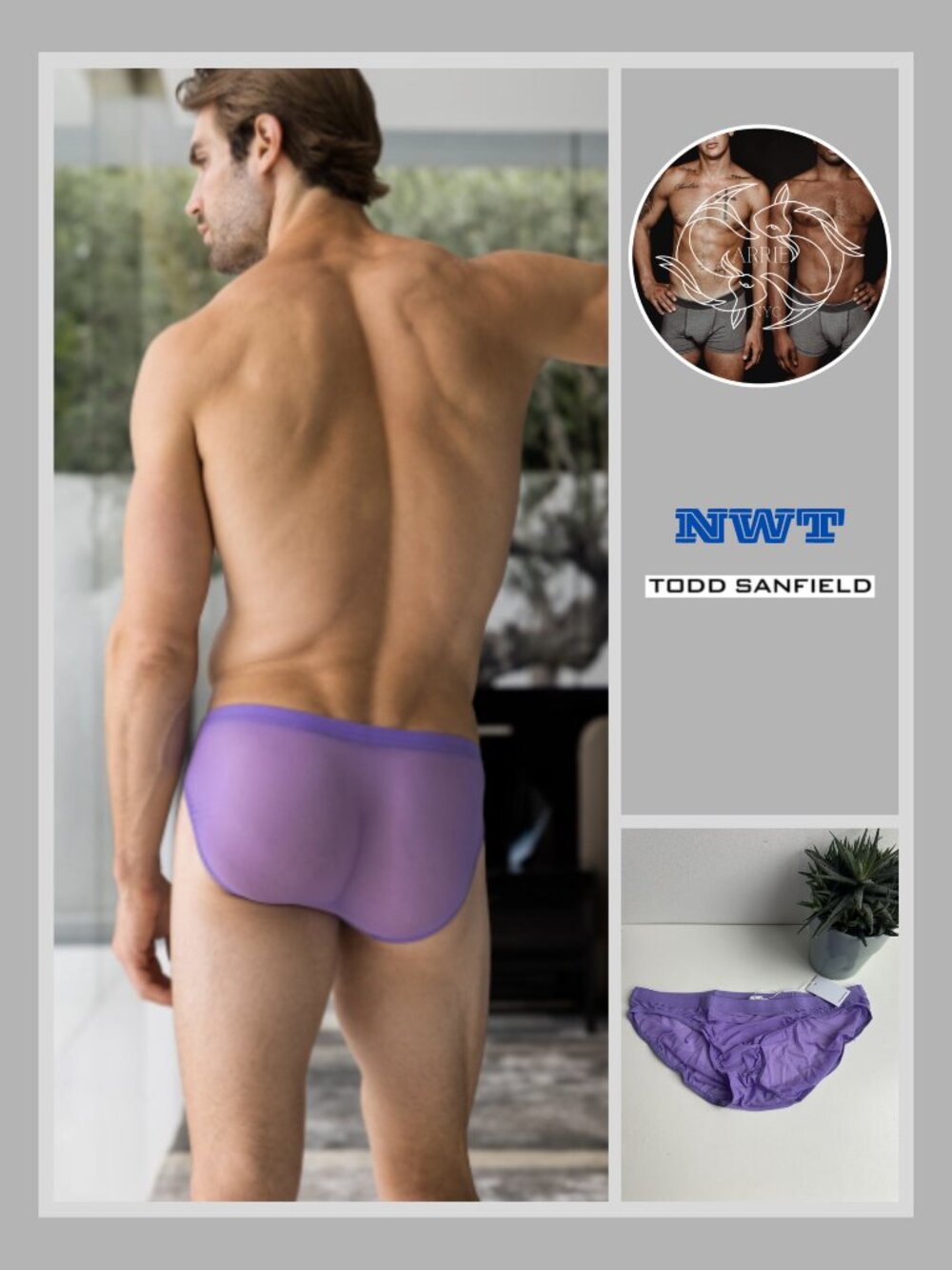 Todd Sanfield - Minimal Mesh Bikini Brief - Regal Purple (L)